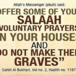වෛකල්පික නැමදුම්වල වැදගත්කම (The importance of optional prayers)