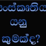 නැගෙනහිර පළාතේ ඉඳි ගස් වැවීම හා කළු කාන්තා ඇඳුම සංස්කෘතික ආක්රමණයක් නේද?