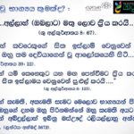 නවක මුස්ලිම්වරුන්ට වටිනා ඔවදන් කිහිපයක්! (V)