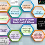 වැදගත් ඔවදන් පෙළක්!