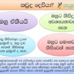ඉස්ලාමීය ප්‍රතිපත්තියෙහි මූලිකත්වය