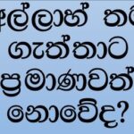 අල්ලාහ් තම ගැත්තාට ප්‍රමාණවත් නොවේද?