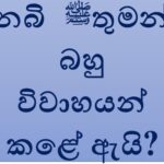 නබි ﷺ තුමන් බහු  විවාහයන් කළේ ඇයි?